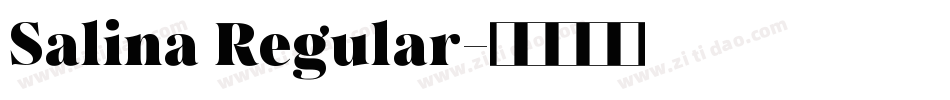 Salina Regular字体转换